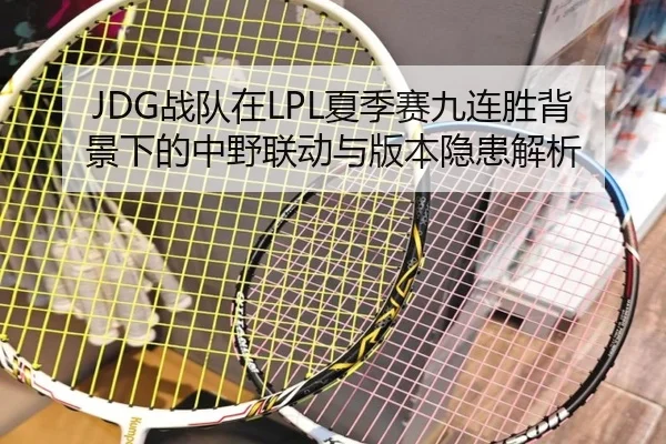 JDG战队在LPL夏季赛九连胜背景下的中野联动与版本隐患解析